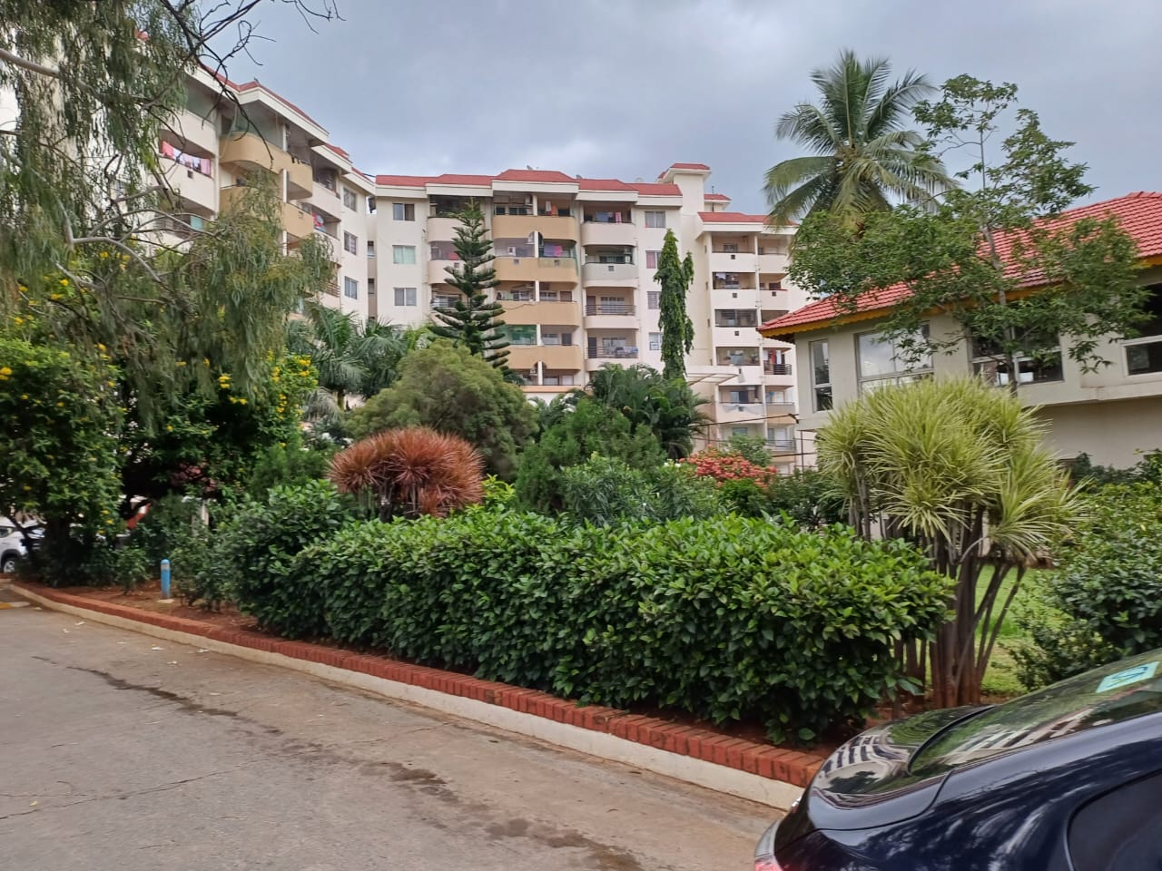 Ranka Nest, Sevashrama