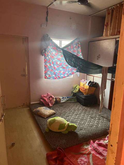 1 BHK Flat In Akhil Appartment for Rent  In Bijli Nagar