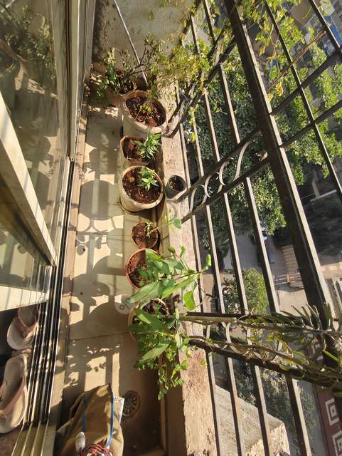 2 BHK Flat In Panchnand Heights For Sale  In Taloja