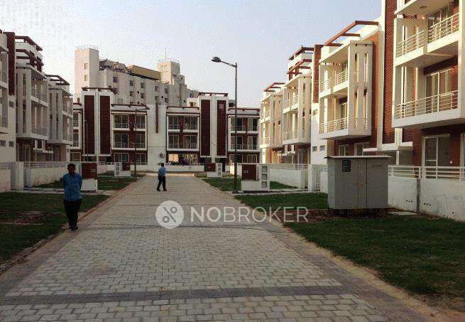 3 BHK Flat In Orchid Island for Rent  In Sector-51