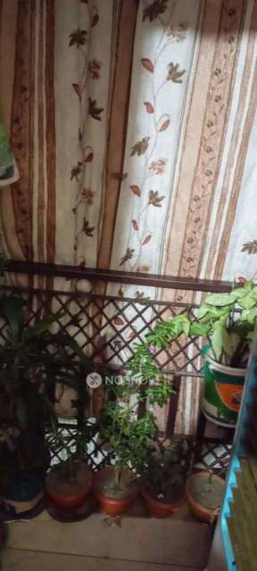 1 BHK Flat For Sale  In Mayur Vihar Phase Iii