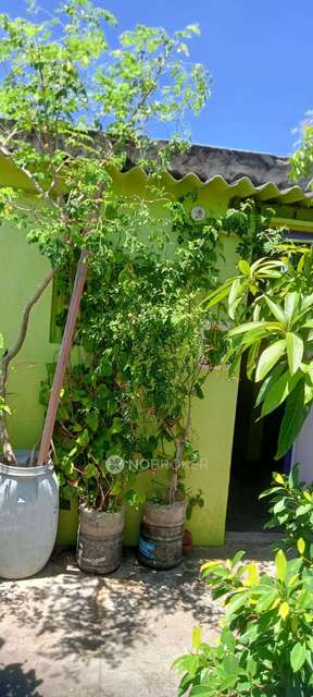 1 RK Flat In Jansiashok for Rent  In Tondiarpet