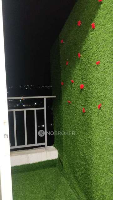 1 BHK Flat In Terra  Green for Rent  In Pimpri-chinchwad