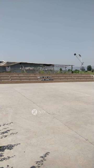 1 BHK Flat In Terra  Green for Rent  In Pimpri-chinchwad