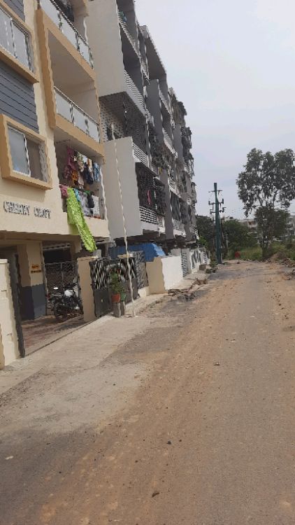 Sankalp Cherry Blossom