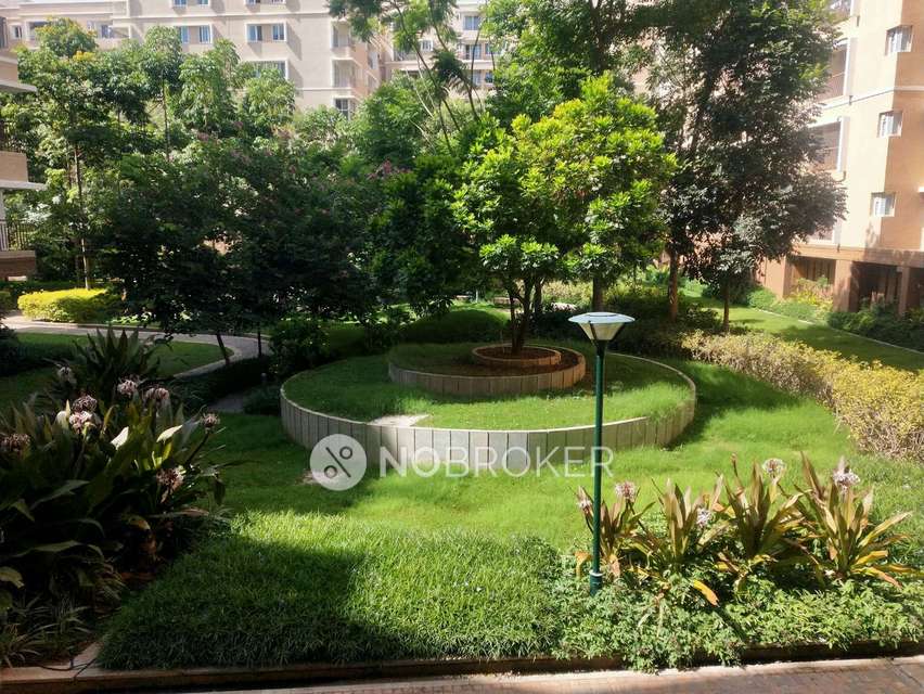 3 BHK Flat In Brigade Orchards Deodar For Sale  In Devanahalli