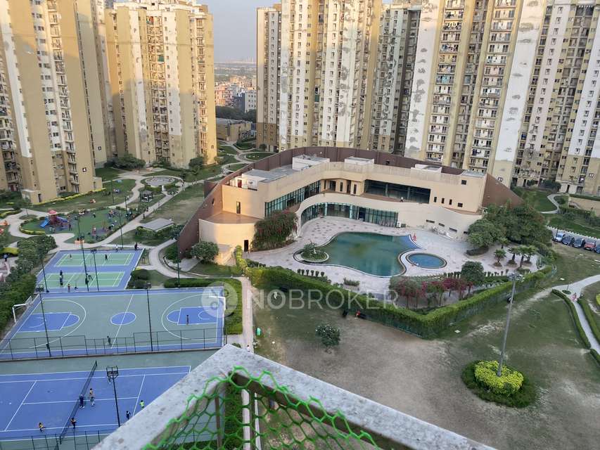 2 BHK Flat In Paras Tierea, Sector 137 for Rent  In Sector 137