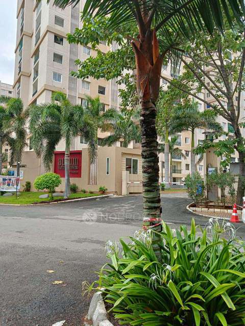 2 BHK Flat In Pacifica Aurum For Sale  In Padur