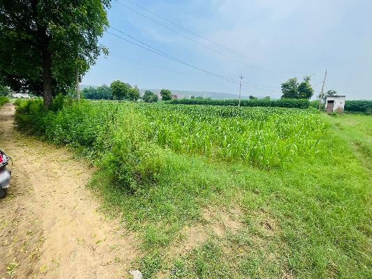 Plot For Sale  In Sohna - Gurgaon Rd