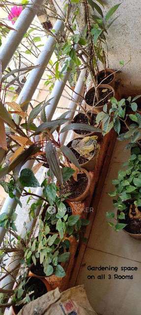 2 BHK Flat In Omkar Chs For Sale  In Kurla East