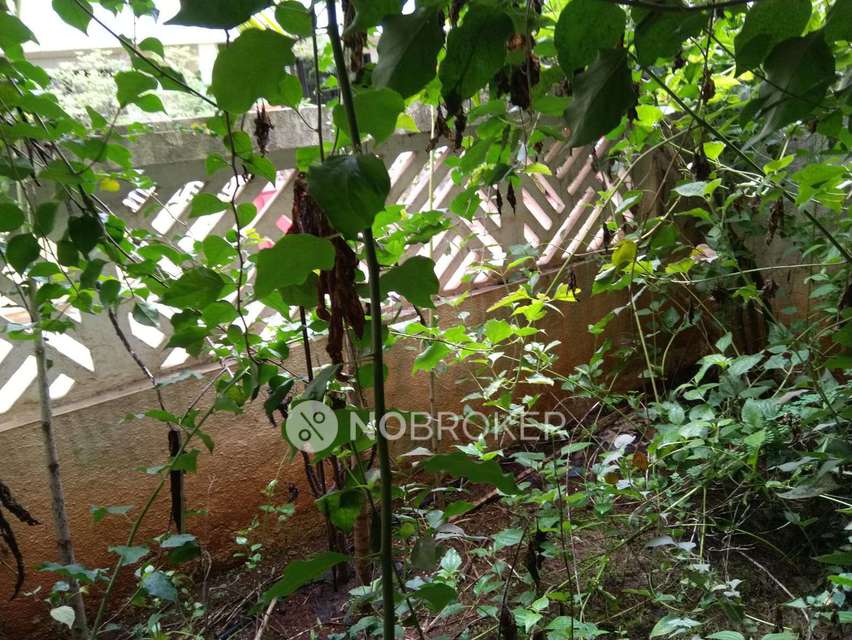 4+ BHK House For Sale  In Baner