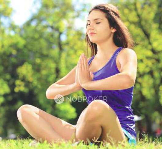 3 BHK Flat In Antriksh Central Avenue For Sale  In Sector 33