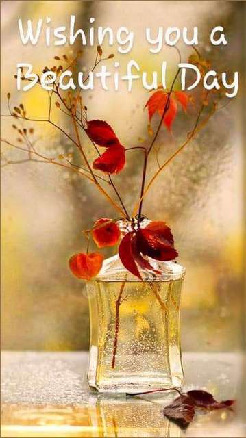 2 BHK Flat In Siddheshwar Nagar For Sale  In Vishrantwadi