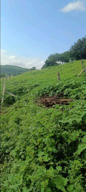 Plot For Sale  In Kothrud