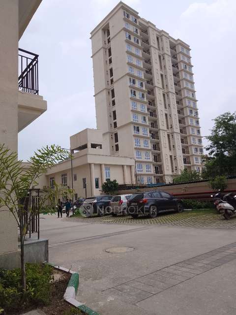 2 BHK Flat In Signature Global The  Millennia 1 for Rent  In Sector 37c