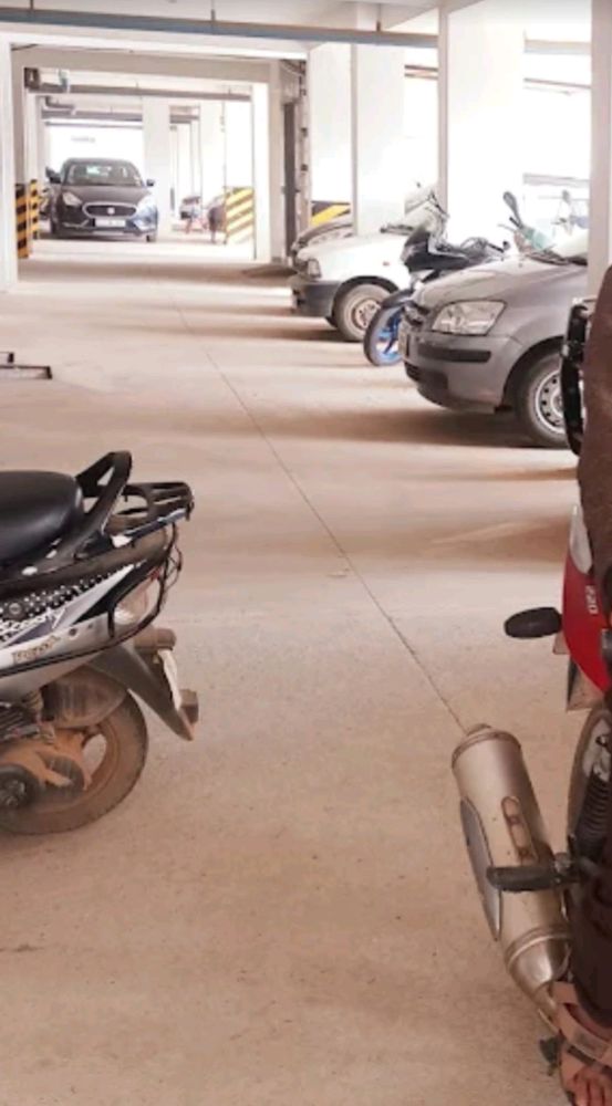 Radiant Silver Bell 2