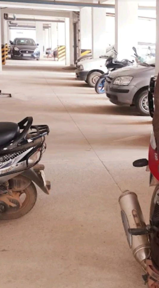 Radiant Silver Bell 2