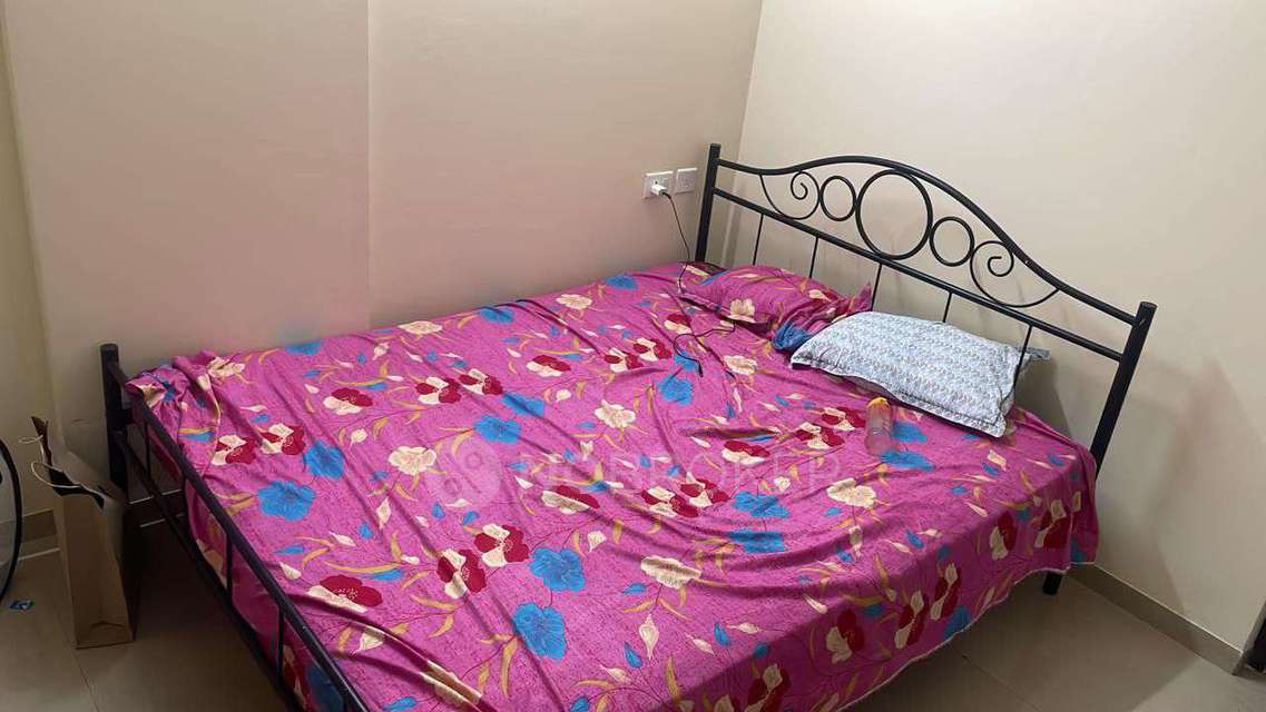 2 BHK Flat In Jade Residencies for Rent  In Wagholi