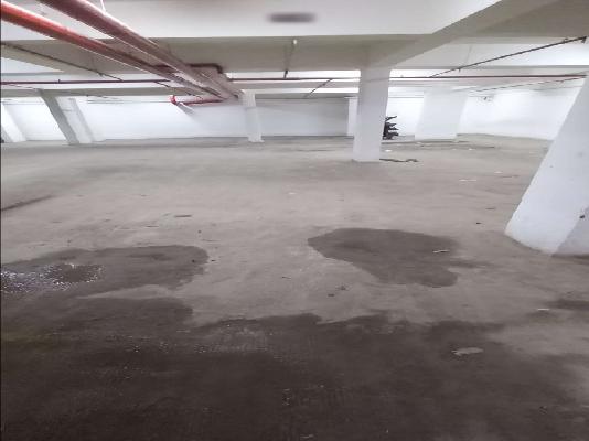 3 BHK Flat In Nexus Gulmohar for Rent  In Charholi Budruk, Pune