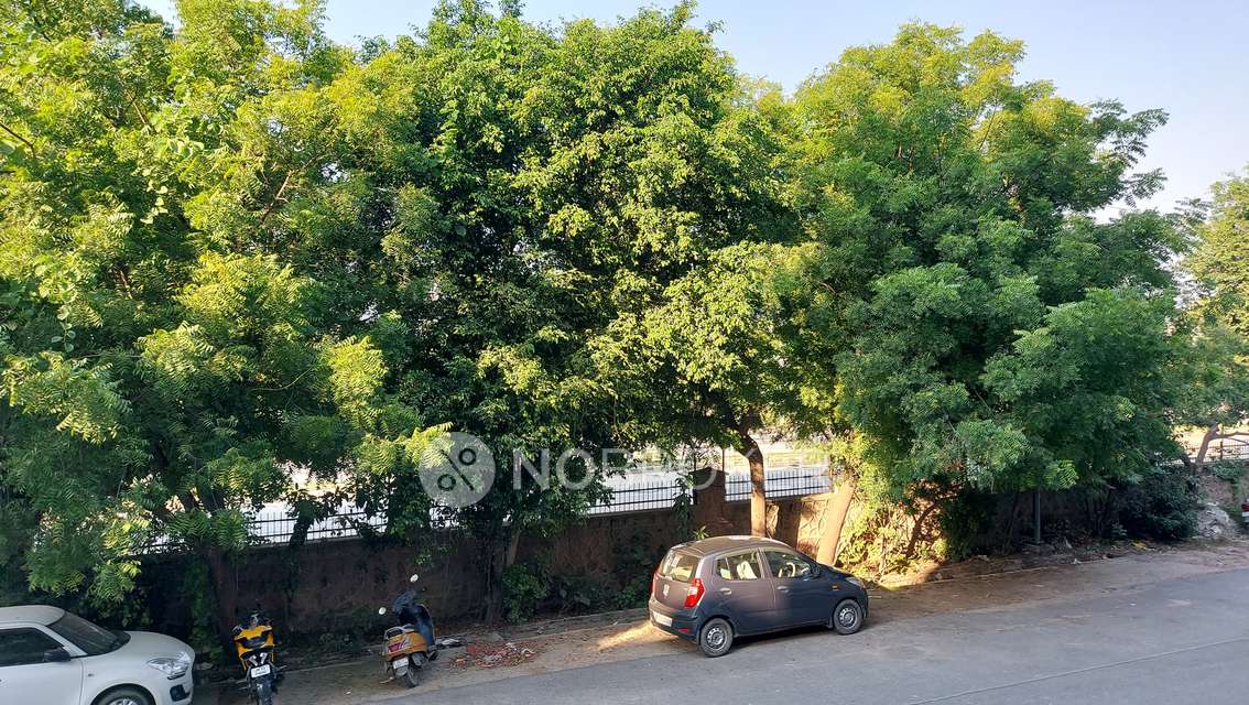 1 BHK Flat In Dda Flats For Sale  In Rohini
