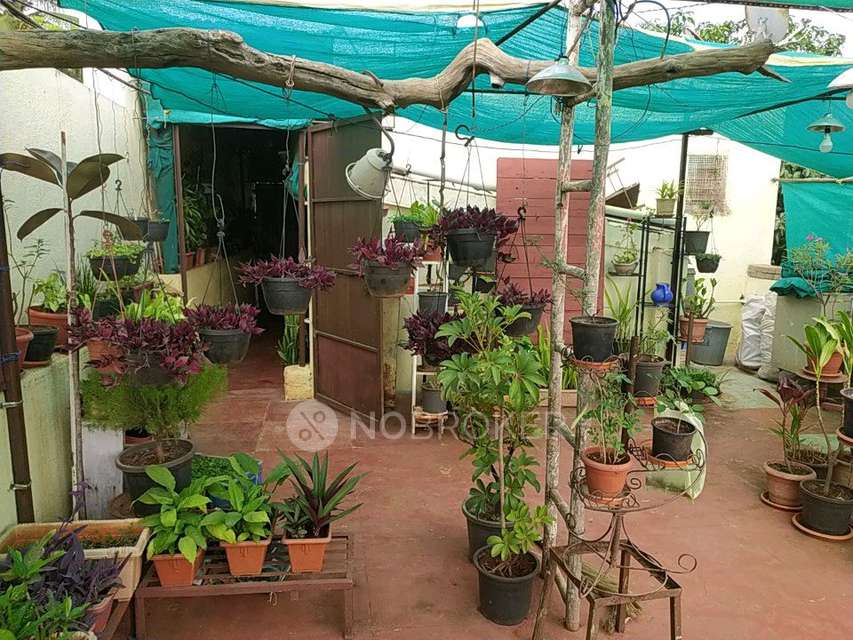 1 RK House for Rent  In Yamuna Nagar, Nigdi