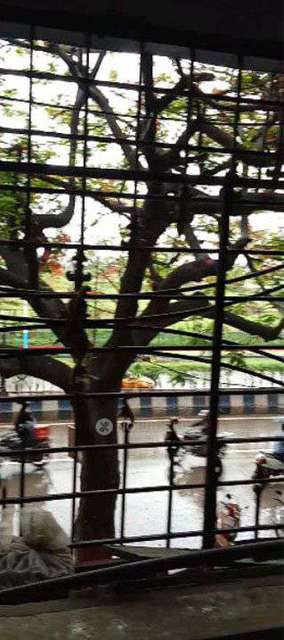 1 BHK House for Rent  In Hadapsar