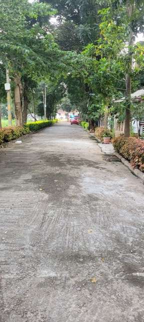 3 BHK Flat In Tmr Blossoms For Sale  In Yelahanka