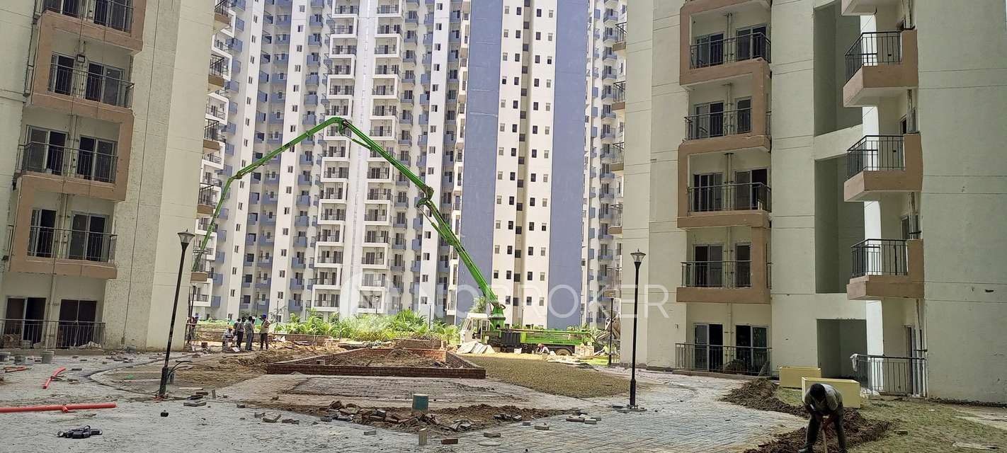 2 BHK Flat In  Amrapali Dream Valley,  for Rent  In Techzone 4