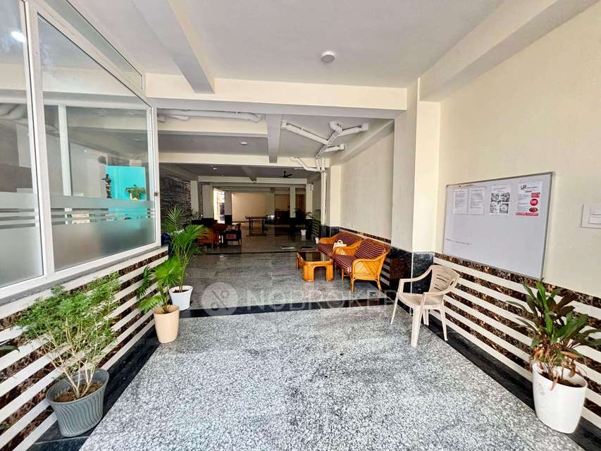 PG for Boys in Sector 48