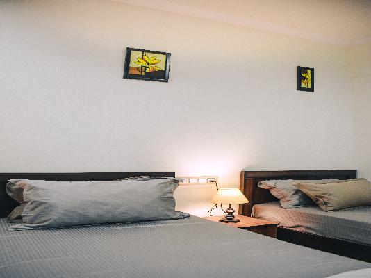 PG for Anyone in Hsr Layout