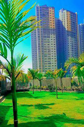 1 BHK Flat In The Groves (blue Ridge)  for Rent  In Hinjawadi