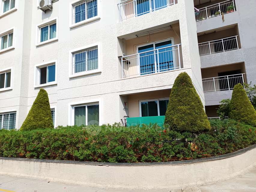 1 BHK Flat In Sjr Palazza City For Sale  In Doddakannelli