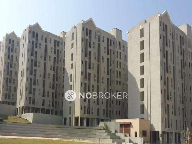 2 BHK Flat In Xrbia Xrbia Hinjewadi for Rent  In Hinjewadi