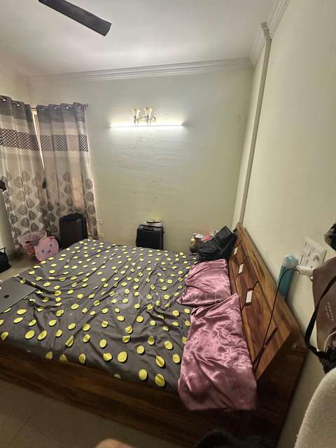 Single Room for Female In 3 BHK  In Awho Vijay Vihar In Wagholi, Pune