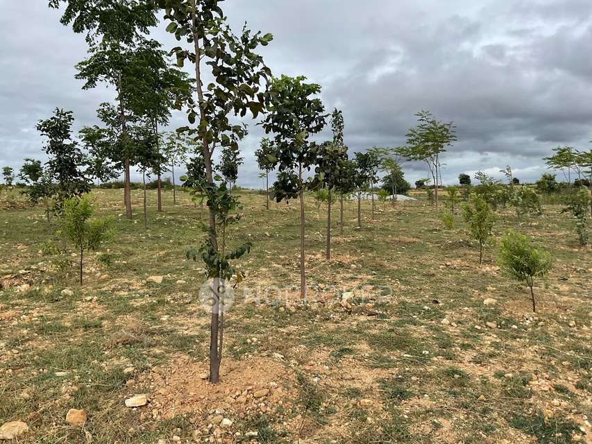 Plot For Sale  In Kimberly Farms In Nagarbhavi