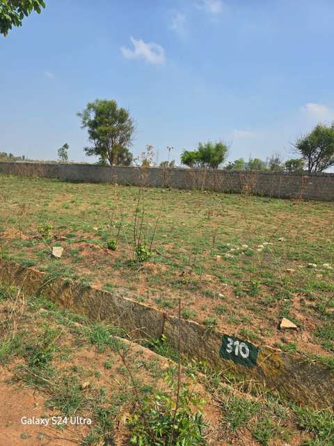 Plot For Sale  In Aishwarya Developers In Doddajala