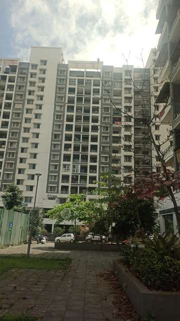 3 BHK Flat In Paranjape Abhiruchi Parisar for Rent  In Dhayari