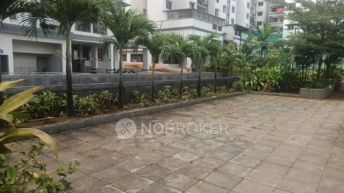 3 BHK Flat In Paranjape Abhiruchi Parisar for Rent  In Dhayari