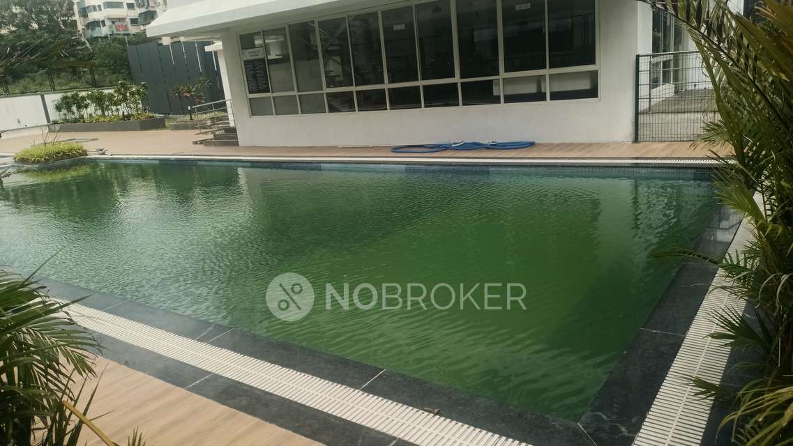 3 BHK Flat In Paranjape Abhiruchi Parisar for Rent  In Dhayari