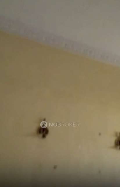 1 BHK Flat In  Station View For Sale  In Taloja