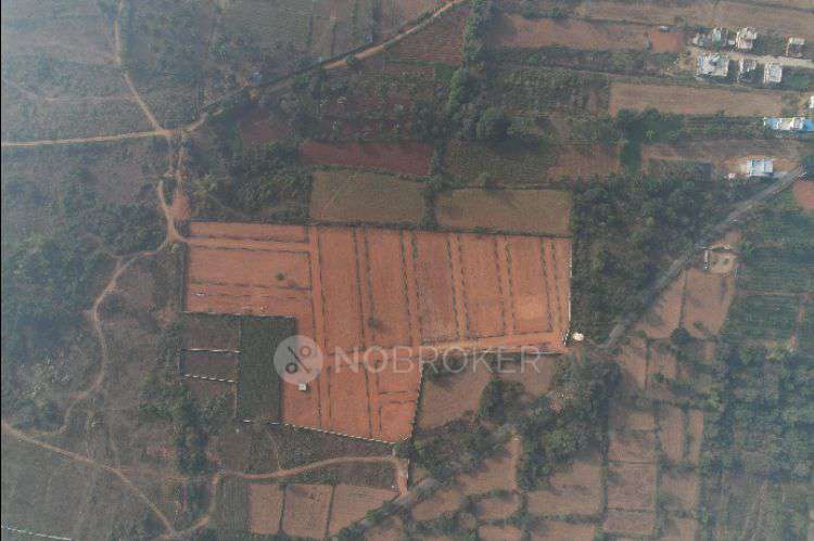 2 BHK House For Sale  In Hejjala