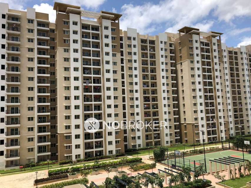 3 BHK Flat In Brigade Golden Triangle, Old Madras Rd for Rent  In Old Madras Rd