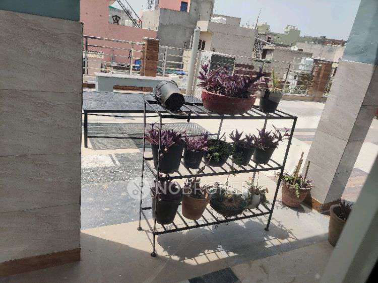 1 BHK Flat In Mayka for Rent  In Shanti Nagar, Shivaji Nagar, Sector 11