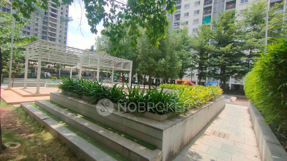 2 BHK Flat In Tcg Cliff Garden Vc Homes for Rent  In  Pimpri-chinchwad