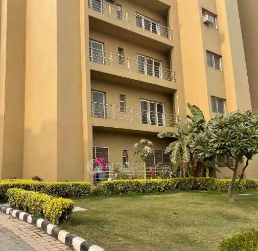 Single Room for Female In 3 BHK  In Paras Tierea In Sector 168
