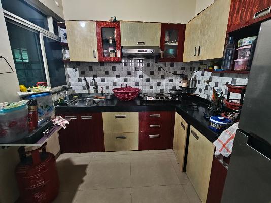 1 BHK Flat In Sai Sanskruti for Rent  In Wagholi