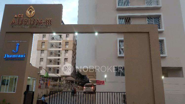 2 BHK Flat In Ace Aurum  for Rent  In Ravet