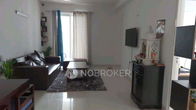 3 BHK Flat In Godrej Summit for Rent  In Sector 104, Dhanwapur Village, Sector 104