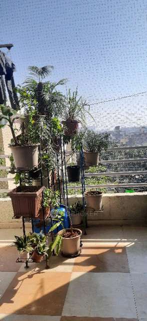 2 BHK Flat In Solitaire Chs for Rent  In Dhanori