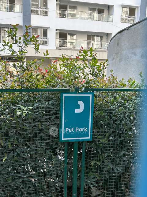 2 BHK Flat In Gera World Of Joy for Rent  In Kharadi 